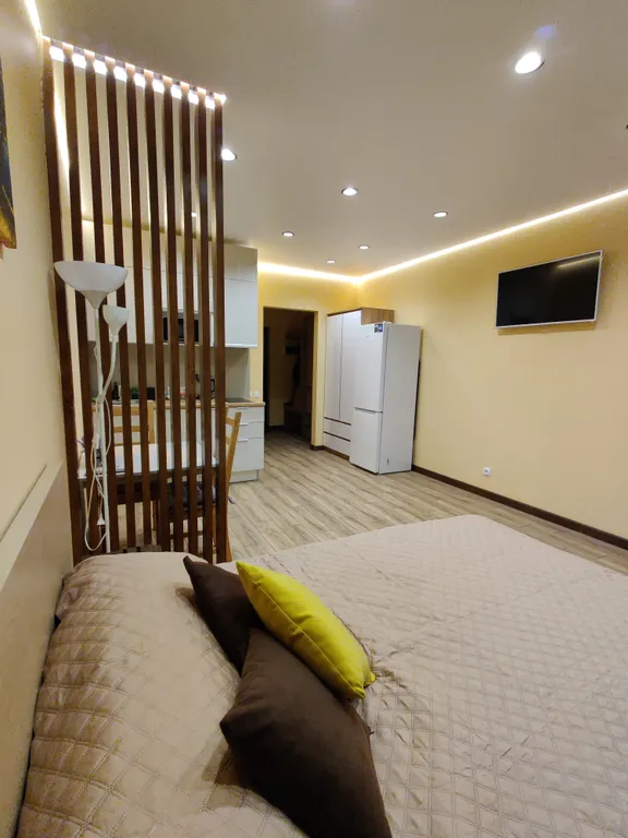 Квартира Комфортная студия у парка — аренда посуточно в Парголово