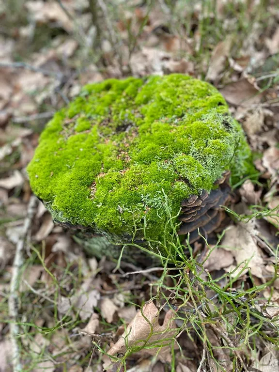 Квартира рядом с морем