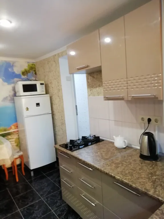 Однокомнатная квартира с двориком