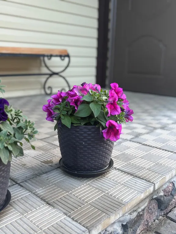 Уютный домик недалеко от трассы м4 дон