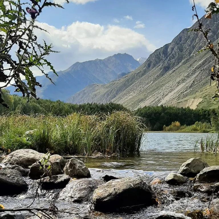 Квартира в Приэльбрусье