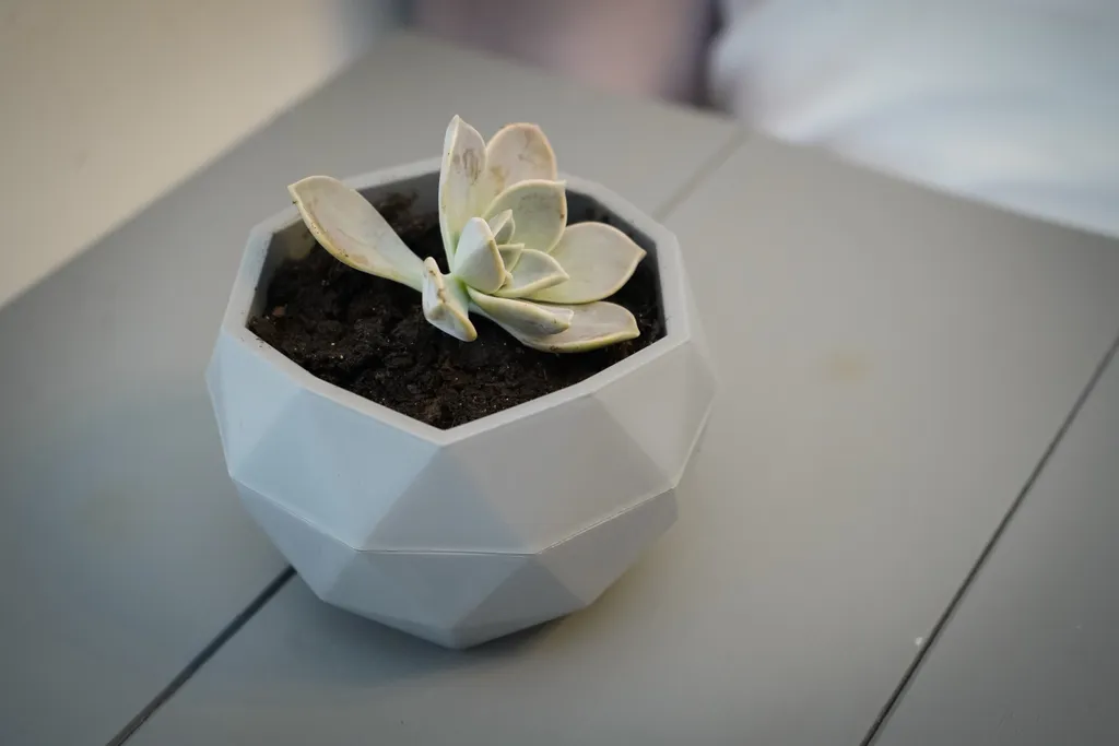 Квартира 1-комнатная Квартира — Сухум