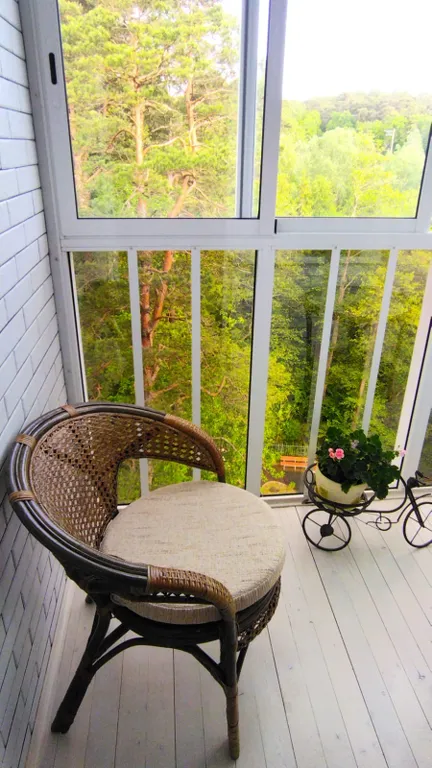 Уютная студия с шикарным видом на сосновый бор