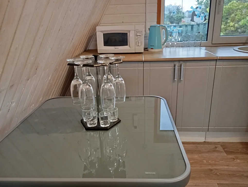 Дом за Дериглазова с баней и чаном