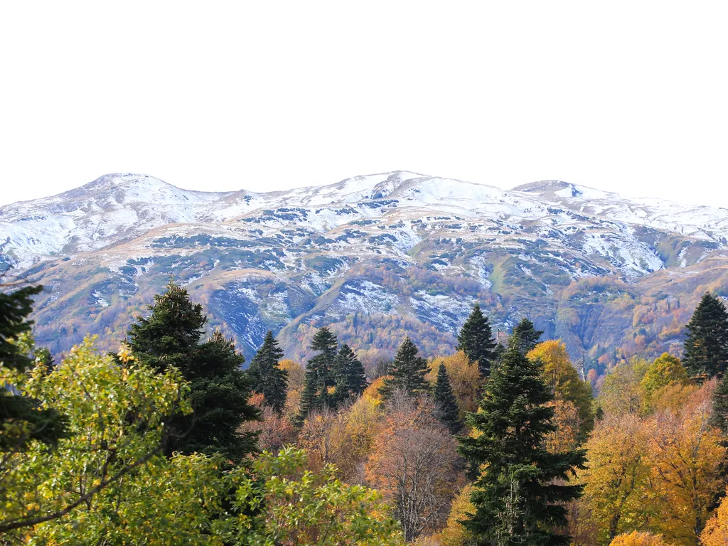 Уникальный дом-баня с собственной террасой