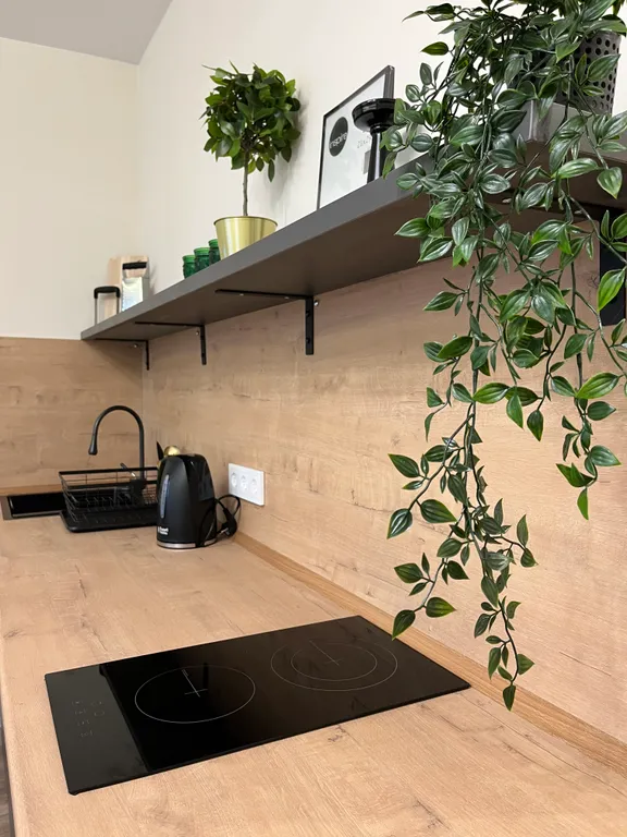 Стильные апартаменты Luxury