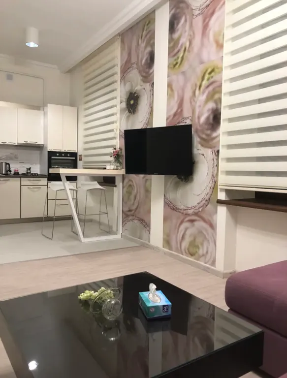 Cozy apartment in rhe city centre