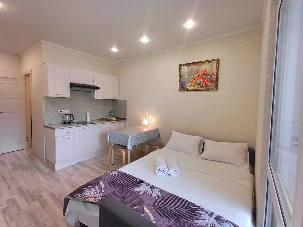 Квартира Комфортная и тёплая студия . Свободна сейчас. — аренда посуточно в Видное