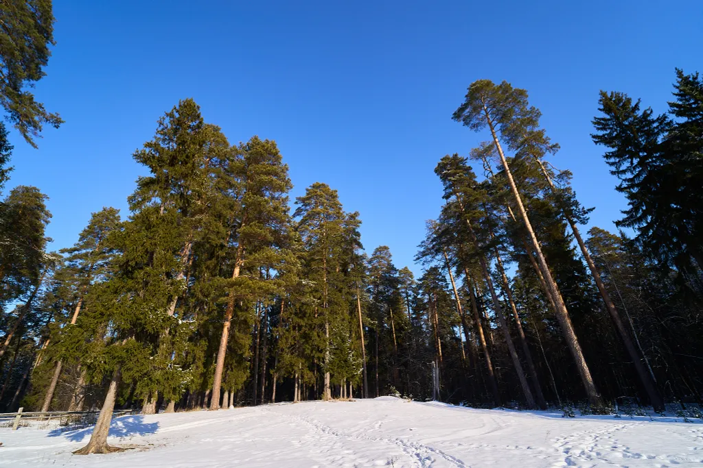 Большой уютный дом у Раифского леса для отдыха всей семьёй