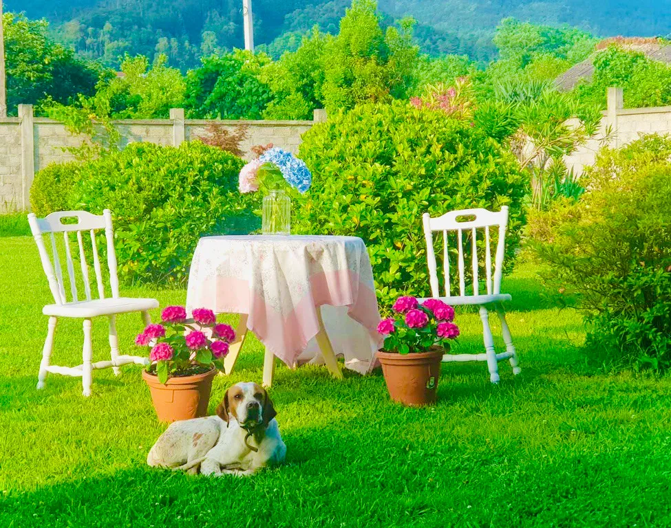 Полулюкс с балконом-террасой и панорамным видом на горы