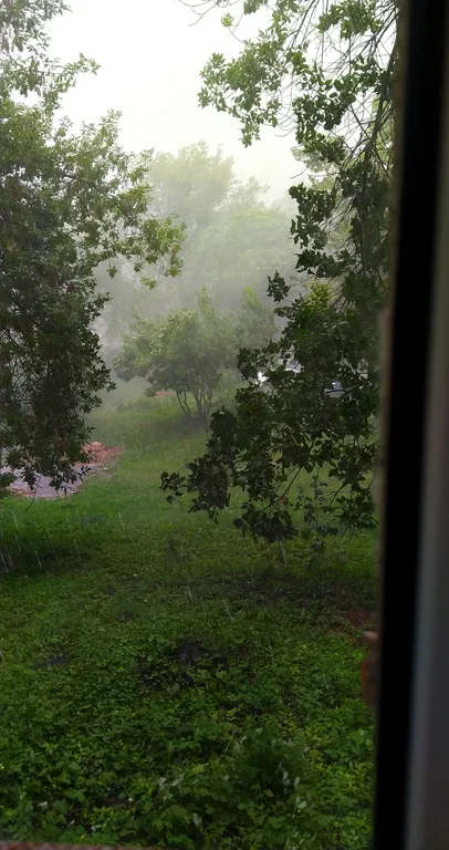 Квартира у парка