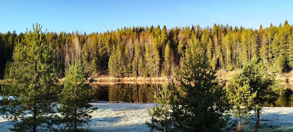 Просторный дом на берегу реки