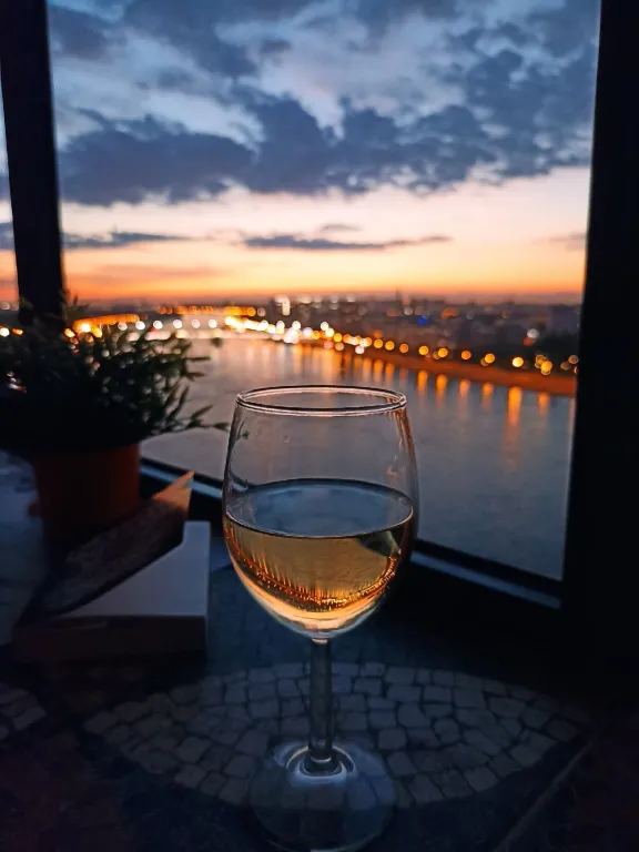 Чайка на Неве