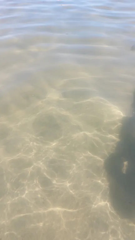 Квартира Стильные апартаменты на первой линии Балтийского моря — Пионерский