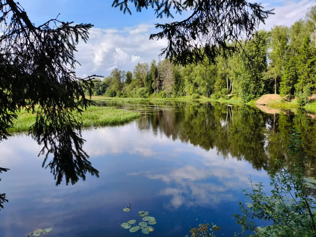 Уютный домик-глемпинг с сауной в лесу