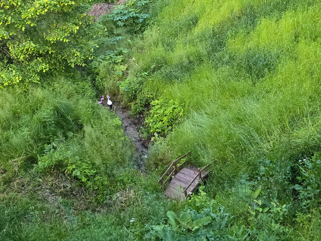 Дом у пруда