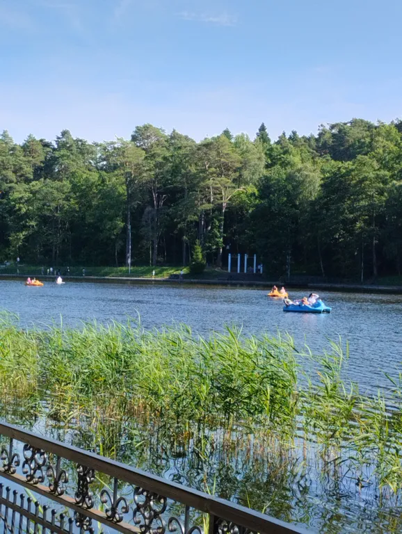 Уютная квартира у озера и леса