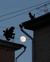 Денис/Наталия