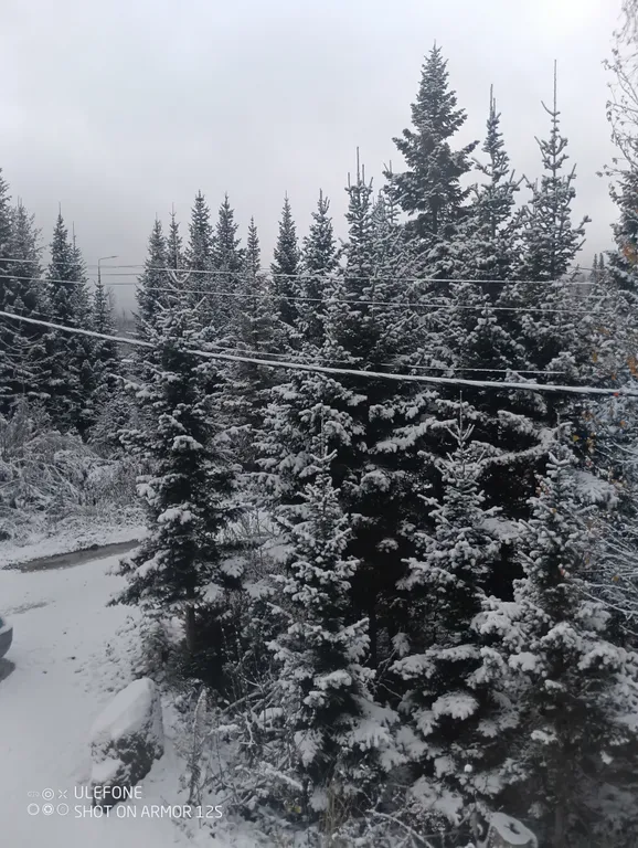 4-комнатный Дом