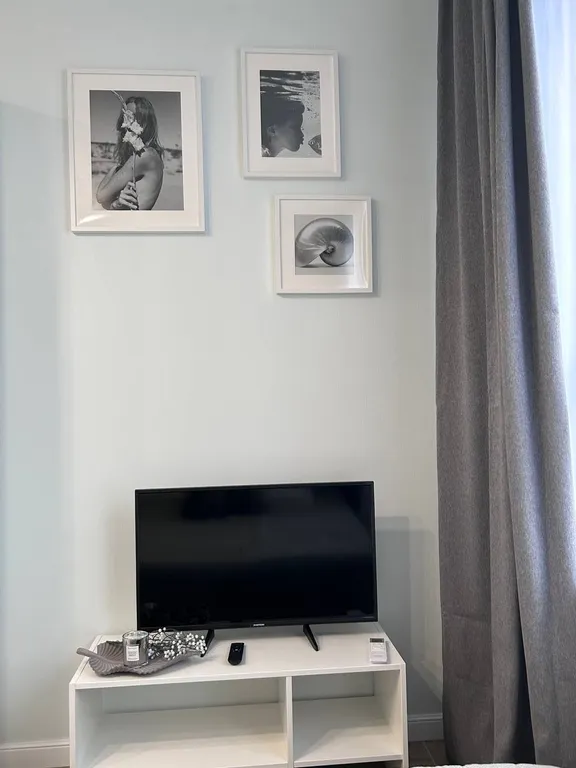 Южная Оливка без балкона