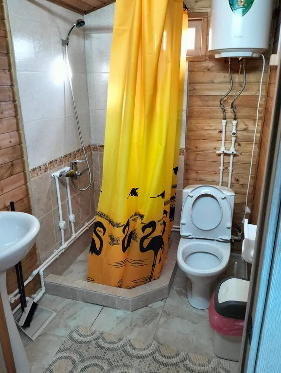 У Софии в деревне