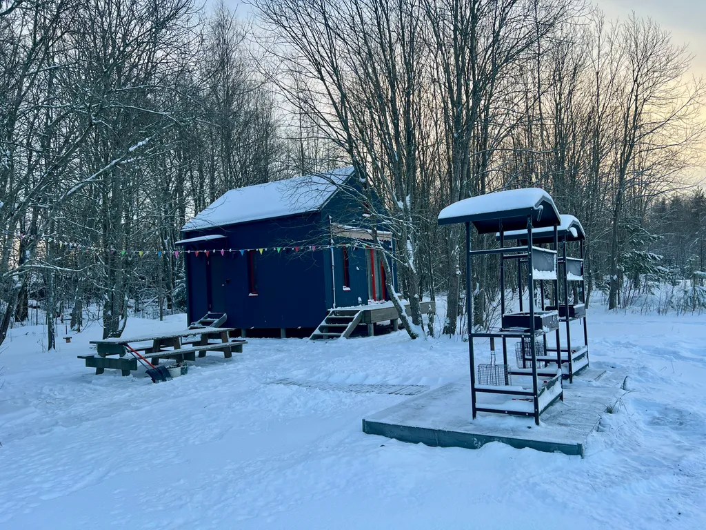 Синий домик в поле