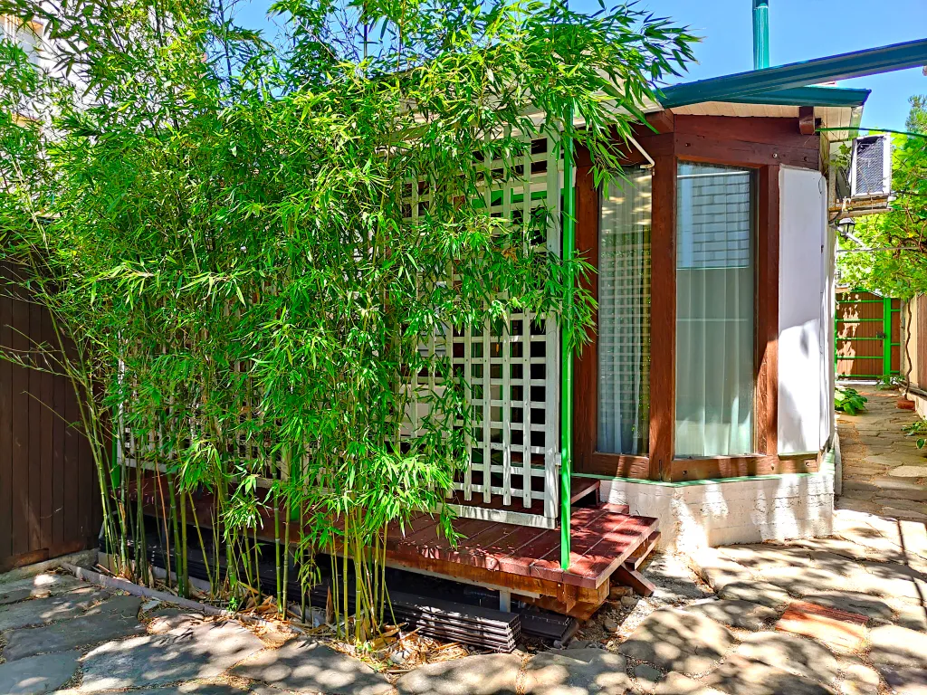 Шале Бамбук