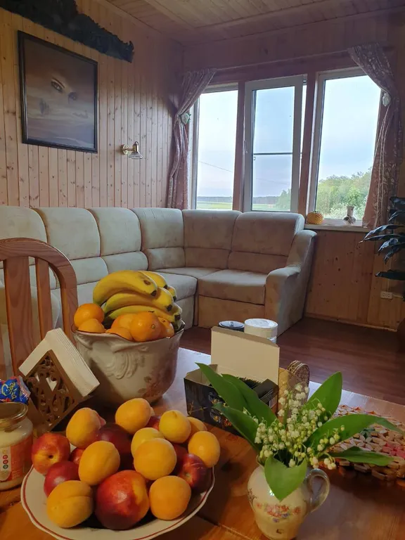 Дом на Селигере