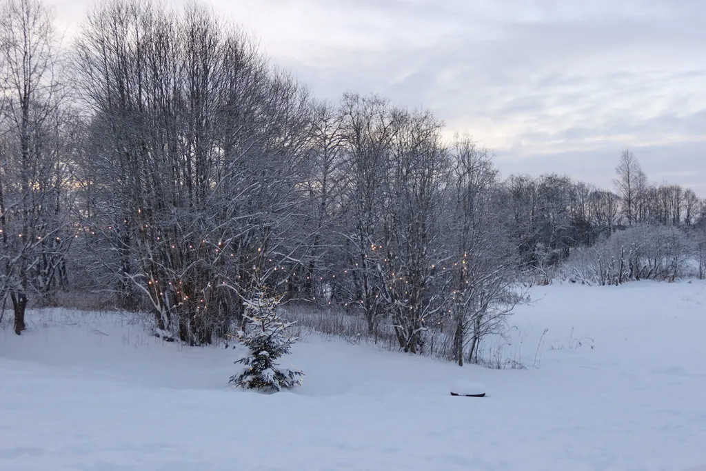 Коттедж 2-комнатный Дом — Шаховская