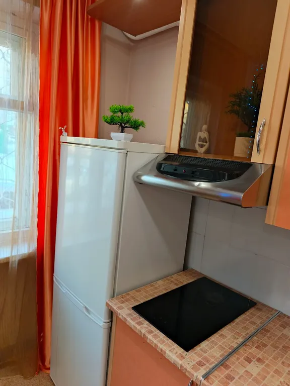 Уютная однокомнатная квартира в центре города