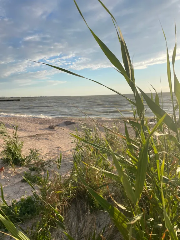 Студия «Берлога» на пляже, 30 м до моря