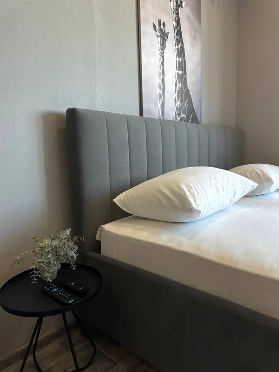 Уютная студия в центре города