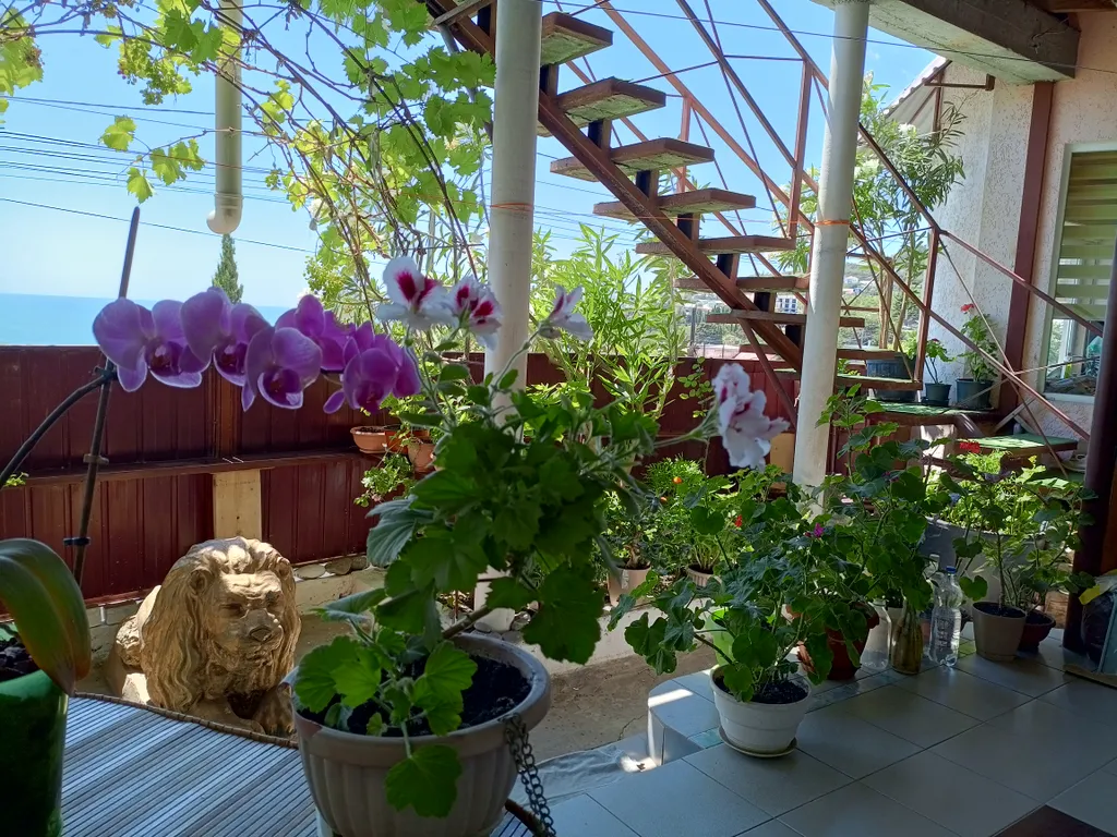 Студия с террасой, частный сектор