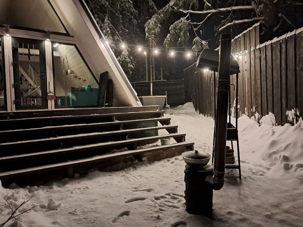 Дом Hamster в хвойном лесу у Большой воды