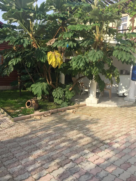 Коттедж Уютный дом — Сухум