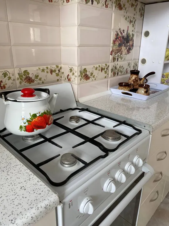 Светлая однокомнатная квартира в тихом районе Светлогорска.