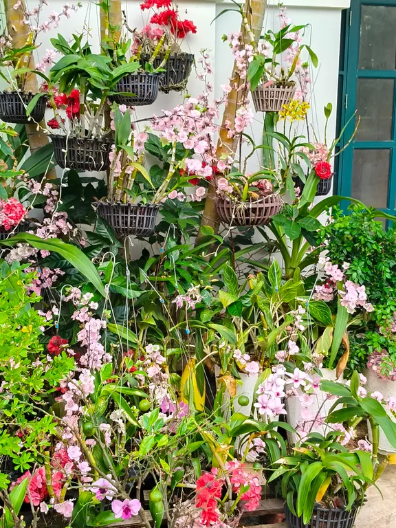 Sun house на фукуоке