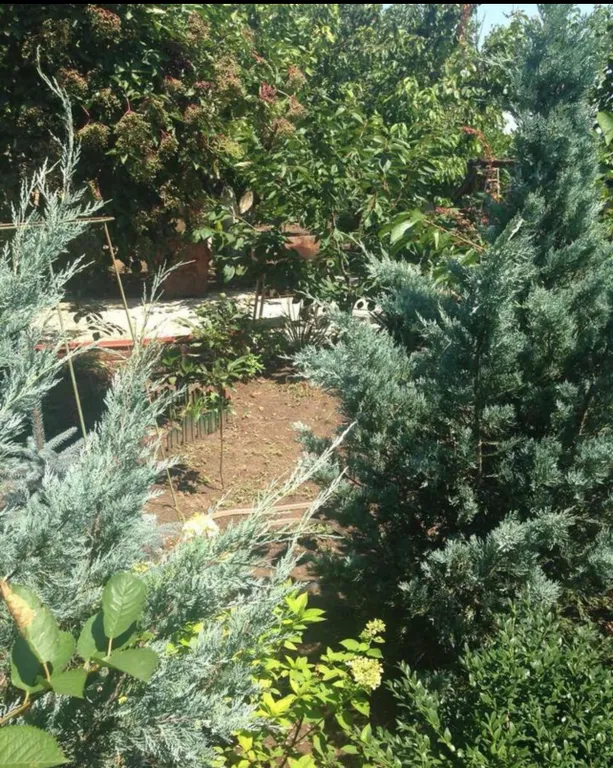 Уютный домик у озера