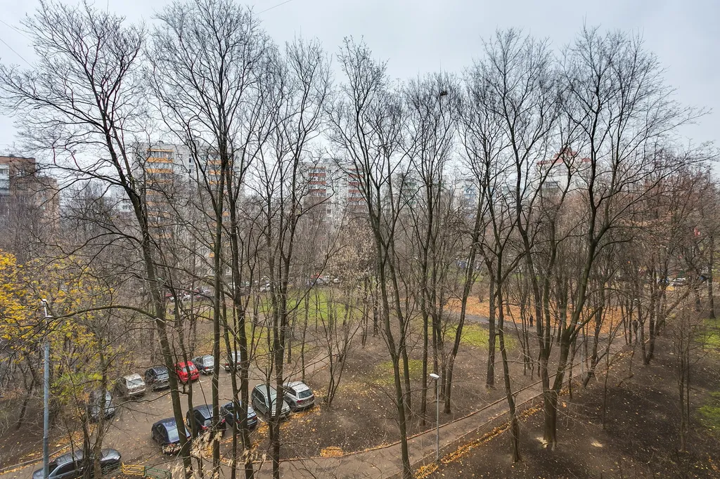 Квартира Уютная квартира прямо в парке — Москва