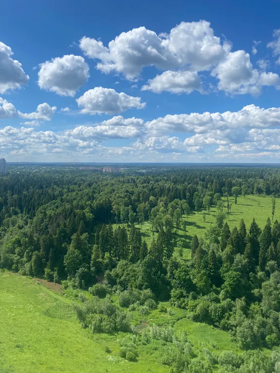 Стильная евродвушка в ЖК Изумрудные холмы