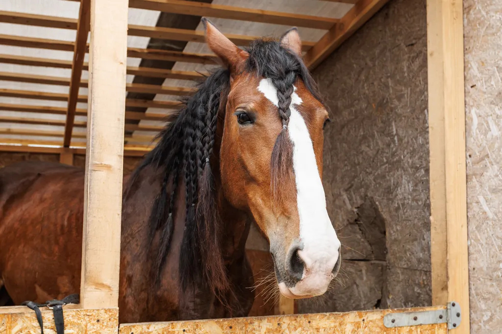 Красивый дом в ёлках