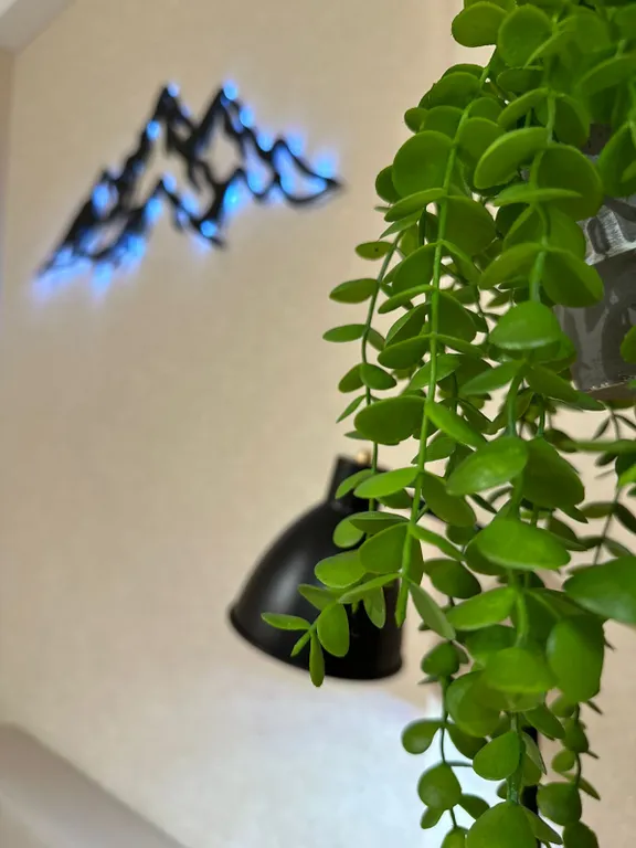 Уютная тёплая студия с видом на горы