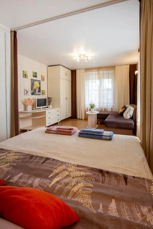 Квартира Уютная светлая квартира в центре — Пушкин