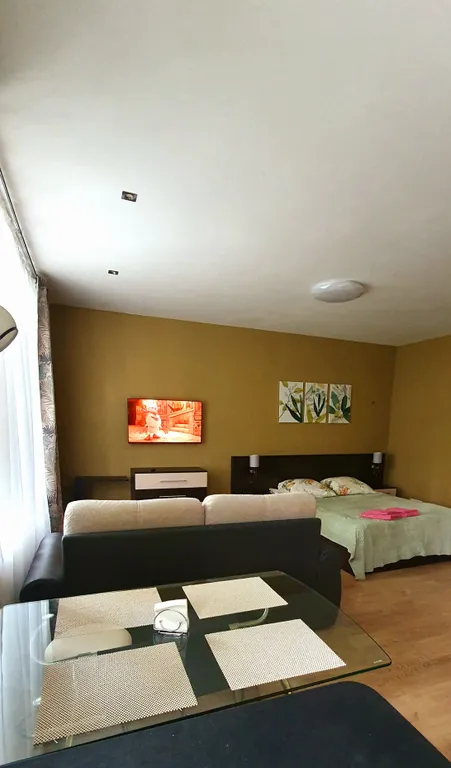 Уютная квартира-студия в центре города