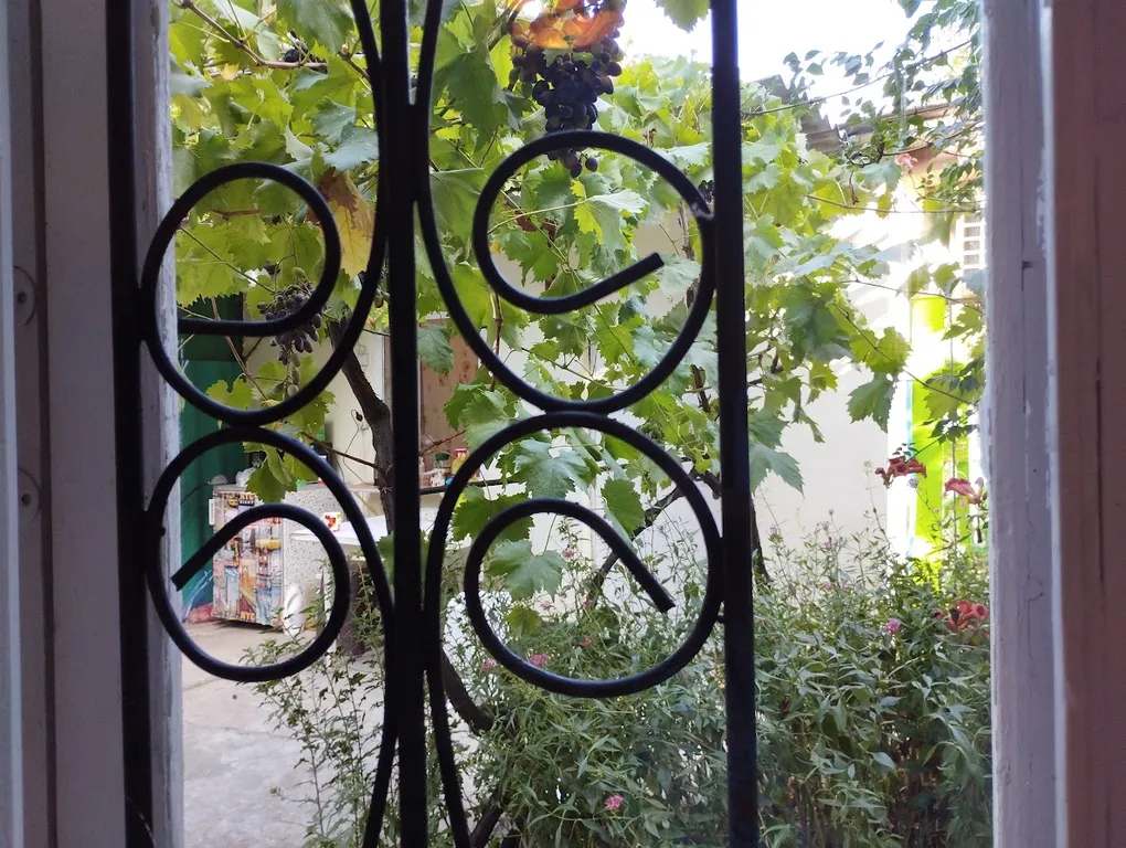 Комната с видом на осенний двор и сад