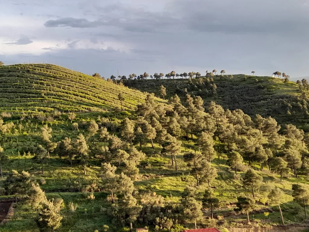 Уютная квартира у моря с видом с балкона на достопримечательности, ели и город
