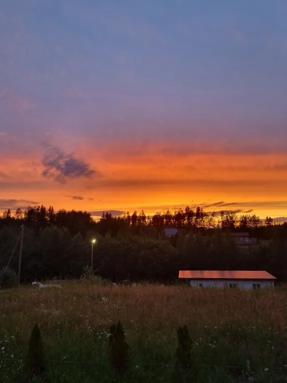 Коттедж у леса Scandi Sweet Home