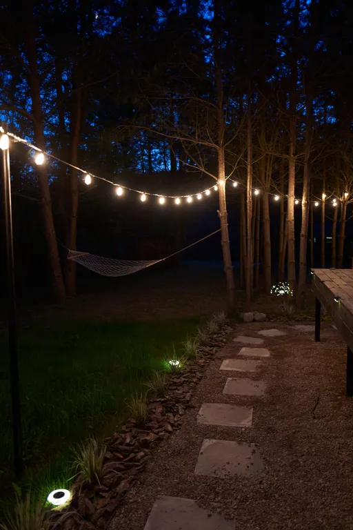 Дом в лесу: баня, купель, проектор, камин, озеро, велосипеды