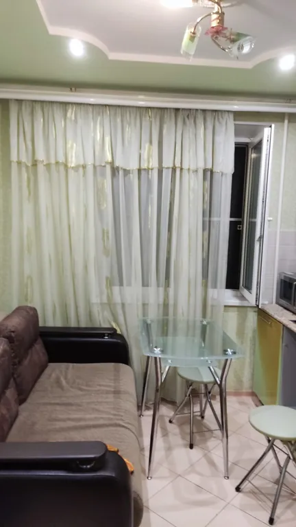 Комфортабельная однокомнатная квартира