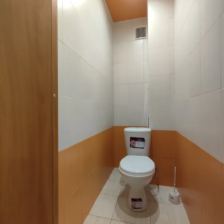 Однушка напротив аквапарка с Алисой